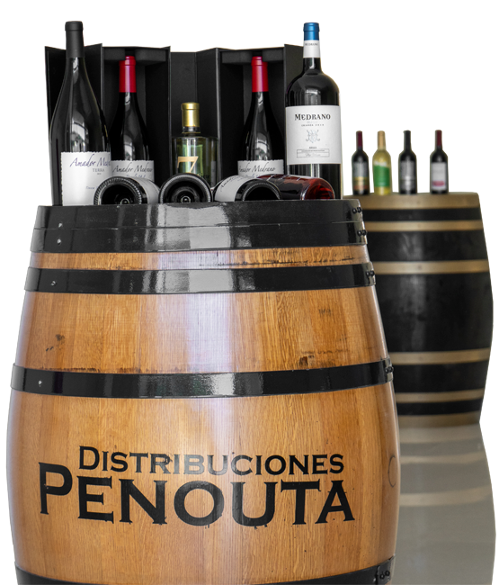 distribuciones-penouta-asturias-vinos-y-embutidos-11